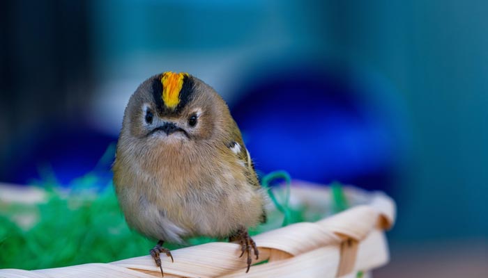 ホラー多め 読み出すと止まらない 殿堂入りの2chの名作スレ 神スレまとめ サンブログ